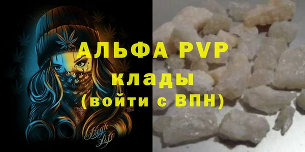 стаф Няндома
