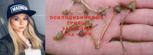 MESCALINE Нягань