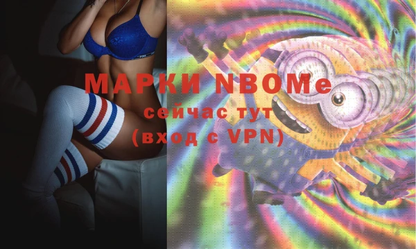 стаф Няндома