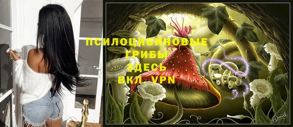 стаф Няндома