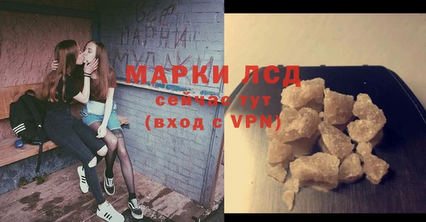хмурый Осинники